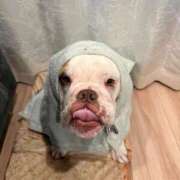 ヒメ日記 2025/11/28 17:02 投稿 ミミ 千葉美女革命