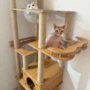 ヒメ日記 2025/12/18 20:51 投稿 ミミ 千葉美女革命