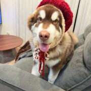 ヒメ日記 2025/12/19 12:51 投稿 ミミ 千葉美女革命