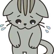 ヒメ日記 2025/11/22 00:11 投稿 小泉みなみ デリス新宿