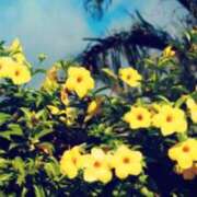 ヒメ日記 2025/11/01 10:09 投稿 りょう ぽっちゃりデリヘル倶楽部