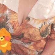 ヒメ日記 2025/11/26 11:59 投稿 りょう ぽっちゃりデリヘル倶楽部