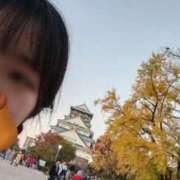 ヒメ日記 2025/11/16 09:52 投稿 かぬれ 密着指導！バカンス学園 尼崎校