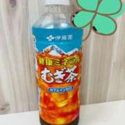 ヒメ日記 2025/10/29 18:00 投稿 朝桐はるひ 千葉快楽Ｍ性感倶楽部～前立腺マッサージ専門～