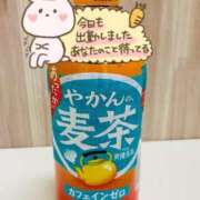 ヒメ日記 2025/11/09 11:01 投稿 朝桐はるひ 千葉快楽Ｍ性感倶楽部～前立腺マッサージ専門～