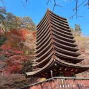 ヒメ日記 2025/12/02 17:55 投稿 きこ ぷるるんマダム 難波店