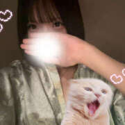 ヒメ日記 2025/11/07 23:34 投稿 みい 仮面舞踏会