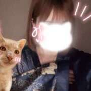 ヒメ日記 2025/12/14 17:00 投稿 みい 仮面舞踏会