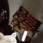 ヒメ日記 2026/01/28 01:22 投稿 みい 仮面舞踏会