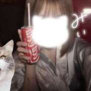 ヒメ日記 2026/01/31 14:58 投稿 みい 仮面舞踏会