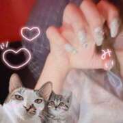 ヒメ日記 2026/02/17 16:00 投稿 みい 仮面舞踏会