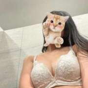 りん 完売ありがとう🩷 ぐっすり山田 横浜店