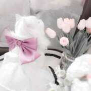 にこ おやすみ︎︎︎︎︎ ᗢᘏᓗ 蒲田ウルトラギャラクシー