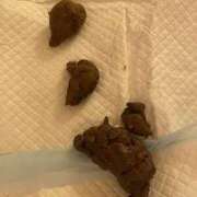 ヒメ日記 2025/10/27 23:42 投稿 みさき 排泄マニア