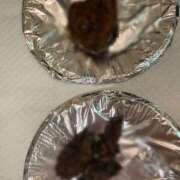 ヒメ日記 2025/11/17 21:38 投稿 みさき 排泄マニア