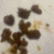 みさき みさきです 排泄マニア