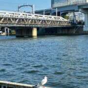 ヒメ日記 2025/11/12 13:45 投稿 高見 熟女デリヘル倶楽部