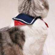 ヒメ日記 2025/11/19 10:15 投稿 高見 熟女デリヘル倶楽部