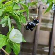 高見 何だろう… 熟女デリヘル倶楽部