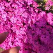 高見 おはようございます😁 熟女デリヘル倶楽部