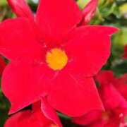 ヒメ日記 2026/09/16 10:30 投稿 高見 熟女デリヘル倶楽部