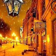 ヒメ日記 2025/12/14 09:48 投稿 黒木雅子 しゅうかつ倶楽部