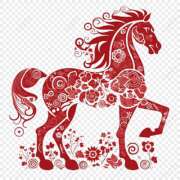 ヒメ日記 2025/12/22 20:19 投稿 黒木雅子 しゅうかつ倶楽部