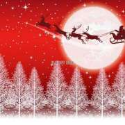 ヒメ日記 2025/12/24 10:13 投稿 黒木雅子 しゅうかつ倶楽部