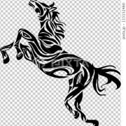 ヒメ日記 2025/12/27 10:01 投稿 黒木雅子 しゅうかつ倶楽部