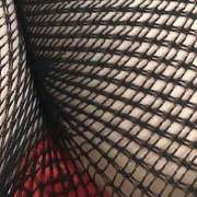 ヒメ日記 2026/02/09 07:32 投稿 黒木雅子 しゅうかつ倶楽部