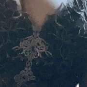 黒木雅子 金曜日から しゅうかつ倶楽部