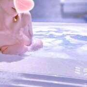 ヒメ日記 2025/10/13 04:39 投稿 ミライ SCREEN(スクリーン)