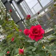 ヒメ日記 2025/11/02 14:38 投稿 せりな 静岡♂風俗の神様 静岡店