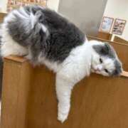 ヒメ日記 2025/11/07 17:58 投稿 せりな 静岡♂風俗の神様 静岡店