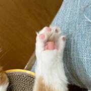 ヒメ日記 2025/12/19 09:48 投稿 せりな 静岡♂風俗の神様 静岡店