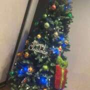 ヒメ日記 2025/12/24 19:48 投稿 せりな 静岡♂風俗の神様 静岡店