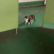 ヒメ日記 2026/01/08 12:50 投稿 せりな 静岡♂風俗の神様 静岡店