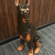 ヒメ日記 2026/01/17 10:08 投稿 せりな 静岡♂風俗の神様 静岡店