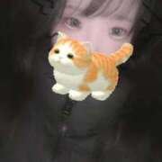 ヒメ日記 2026/01/20 02:18 投稿 せりな 静岡♂風俗の神様 静岡店