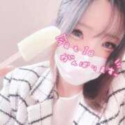 ヒメ日記 2026/02/08 08:08 投稿 せりな 静岡♂風俗の神様 静岡店