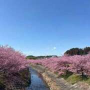 ヒメ日記 2026/02/28 13:08 投稿 せりな 静岡♂風俗の神様 静岡店