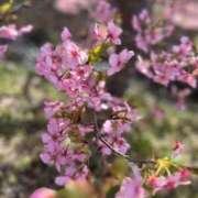 ヒメ日記 2026/03/03 19:33 投稿 せりな 静岡♂風俗の神様 静岡店