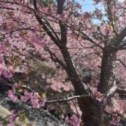 ヒメ日記 2026/03/05 07:58 投稿 せりな 静岡♂風俗の神様 静岡店