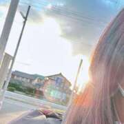 ヒメ日記 2026/03/15 06:58 投稿 せりな 静岡♂風俗の神様 静岡店