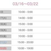 ヒメ日記 2026/03/16 08:38 投稿 せりな 静岡♂風俗の神様 静岡店
