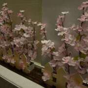 ヒメ日記 2026/03/31 09:38 投稿 せりな 静岡♂風俗の神様 静岡店