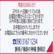 ヒメ日記 2026/05/05 15:08 投稿 せりな 静岡♂風俗の神様 静岡店