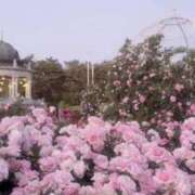 ヒメ日記 2026/05/23 02:18 投稿 せりな 静岡♂風俗の神様 静岡店