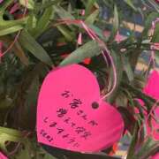 ヒメ日記 2026/07/13 04:58 投稿 せりな 静岡♂風俗の神様 静岡店