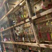 ヒメ日記 2026/07/27 15:28 投稿 せりな 静岡♂風俗の神様 静岡店